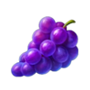 4 fairy flowers hold and win grape symbol