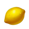 4 fairy flowers hold and win lemon symbol