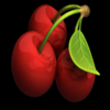 4 spin cherry symbol