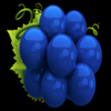 4 spin grape symbol
