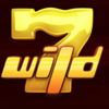 4 spin wild symbol