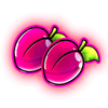4 the win wild plums symbol