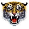 5 blessings tiger symbol