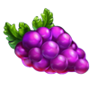 5 boost hot grapes symbol