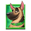 5 doggy dollars green dog symbol