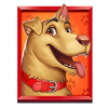 5 doggy dollars red dog symbol