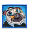 5 doggy millionaires pug symbol