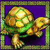 5 fortune dragons turtle symbol