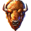 5 wild buffalo 3 head symbol