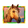 5 wild buffalo 3 horse symbol
