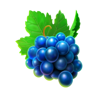 777 football hit grape symbol