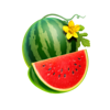 777 football hit watermelon symbol