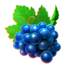 777 summer hit dice grape symbol