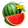 777 summer hit dice watermelon symbol