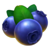 777 xmas gifts blueberry symbol