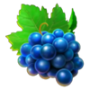 777 xmas gifts grapes symbol