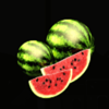 7 hot 7 watermelon symbol