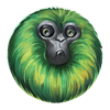 7 monkeys green 1 symbol