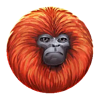 7 monkeys orange symbol