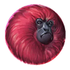 7 monkeys red 1 symbol