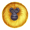 7 monkeys yellow 1 symbol