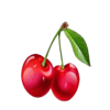 7s on fire deluxe cherry symbol