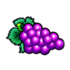 81 joker hot reels grapes symbol