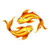 88 frenzy fortune 12