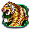 8 dragons tiger symbol