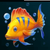 9 pearls of fortune fish symbol