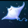 9 pearls of fortune tremoctopus symbol