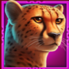 9 rhino fast fire cheetah symbol