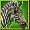 9 rhino fast fire zebra symbol