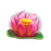 a hopping kiss lotus symbol