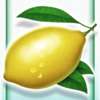 abracardabra lemon symbol