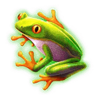 action boost amber island frog symbol