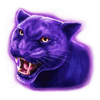 action boost amber island panther symbol