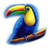 action boost amber island toucan symbol