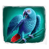 action boost gorilla gems bird symbol