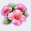 action boost tiki treasures flower 1 symbol