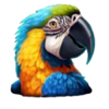 action boost treasure trove parrot symbol