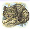 adventures in wonderland cat symbol