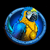adventures of doubloon island link and win parrot symbol