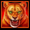african cats lion symbol