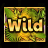 african drum wild symbol