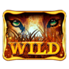 african luck wild symbol