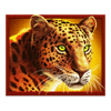 african spirit sticky wilds cheetah symbol