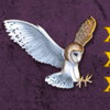 age of athena owl symbol