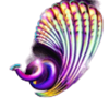 ainsworth mystic moon seashell symbol