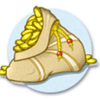 aladdins wishes gold coin symbol